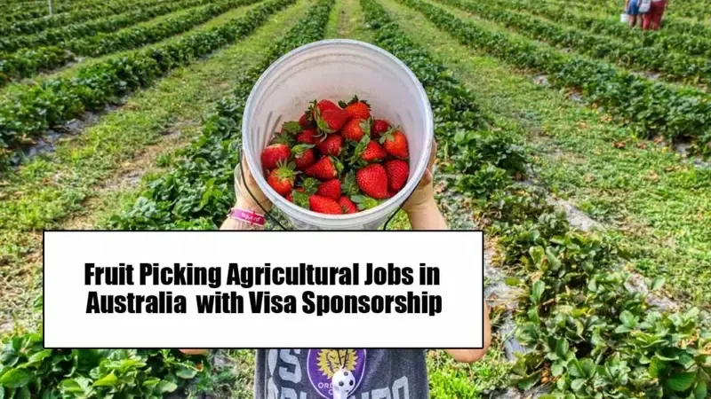 Fruit and Potato Picking jobs in Australia